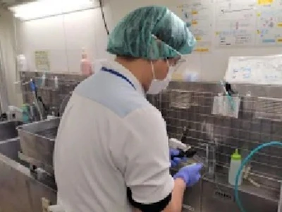 ワタキューセイモア株式会社