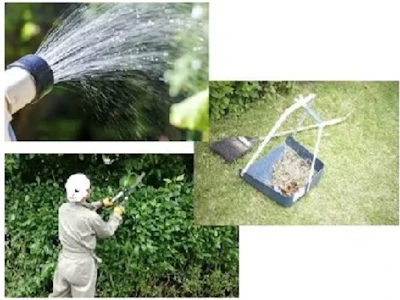 ワタキューセイモア株式会社