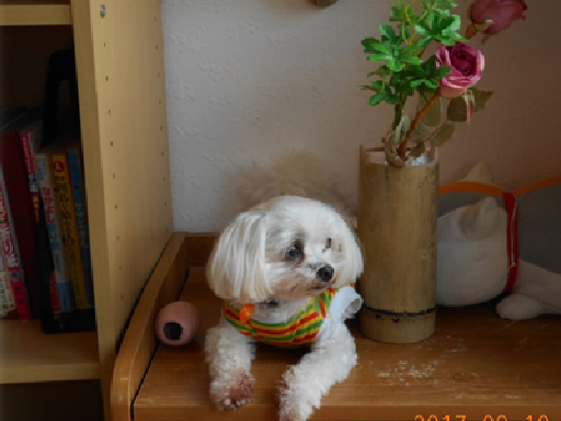 B46d433a2e8f477858aa18472a39c030d9ab1db1