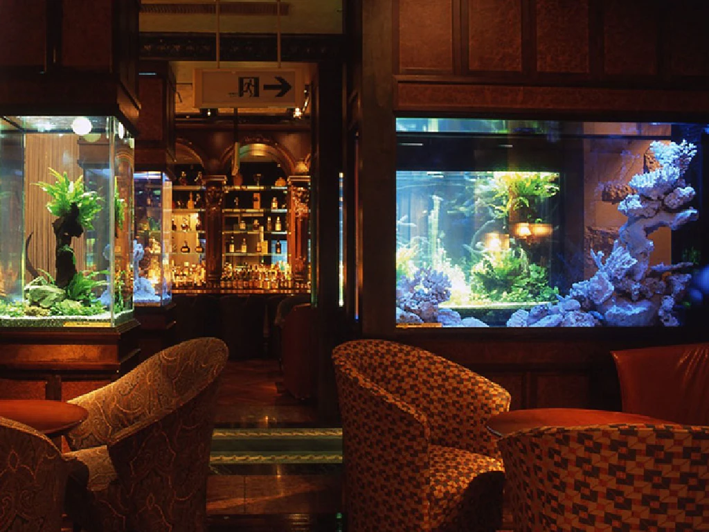 主婦 夫 活躍 サントリーバー 水響亭 3471 北新地駅 のパート アルバイト求人情報 しゅふｊｏｂ No