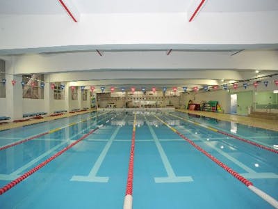 学校法人井之頭学園　藤村水泳教室の求人画像