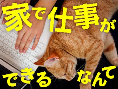 ビーウィズ株式会社の求人画像