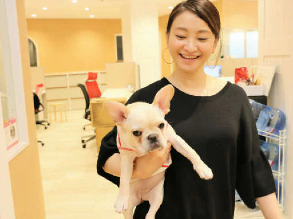主婦 夫 活躍 ココネ株式会社 若林 東京都 駅 のパート アルバイト求人情報 しゅふjob No 主婦 夫 活躍 ココネ株式会社 若林 東京都 駅 のパート アルバイト求人情報 しゅふjob No