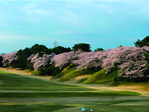 神奈川開発観光株式会社のアルバイト情報