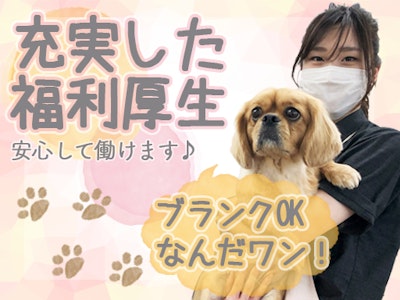 株式会社ジョイフルエーケー 帯広市のアルバイト パート求人情報 時給 865円 ペットコーナーでトリミング業務 主婦活躍中 週 2日 08 00 30 30代 50代活躍中 パート アルバイト Dジョブ