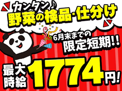 ライクスタッフィング株式会社