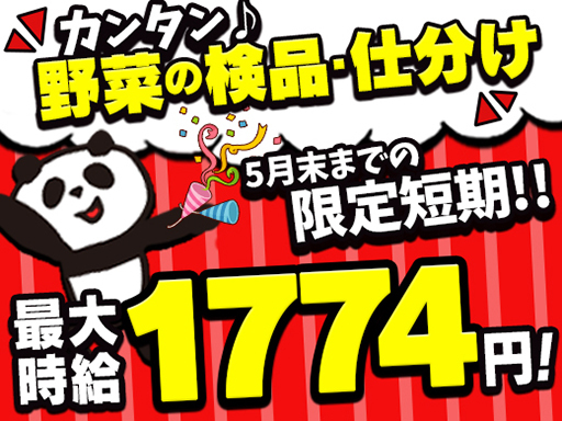 ライクスタッフィング株式会社のアルバイト情報