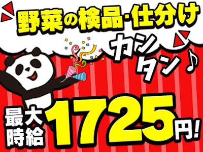 野菜の検品・仕分け　未経験OK　シンプル作業　駅チカ　日払い