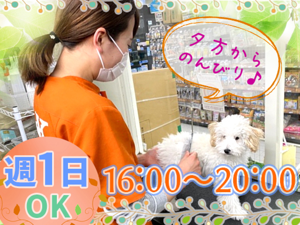 主婦 夫 活躍 ケン ワン 加西店 北条町駅 のパート アルバイト求人情報 しゅふjob No 主婦 夫 活躍 ケン ワン 加西店 北条町駅 のパート アルバイト求人情報 しゅふjob No