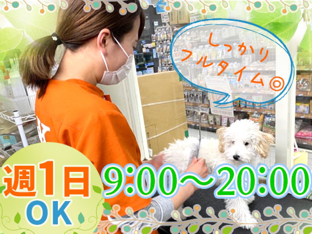 主婦 夫 活躍 ケン ワン 加西店 北条町駅 のパート アルバイト求人情報 しゅふjob No 主婦 夫 活躍 ケン ワン 加西店 北条町駅 のパート アルバイト求人情報 しゅふjob No