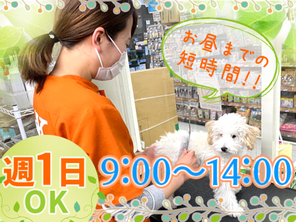 主婦 夫 活躍 ケン ワン 加西店 北条町駅 のパート アルバイト求人情報 しゅふｊｏｂ No