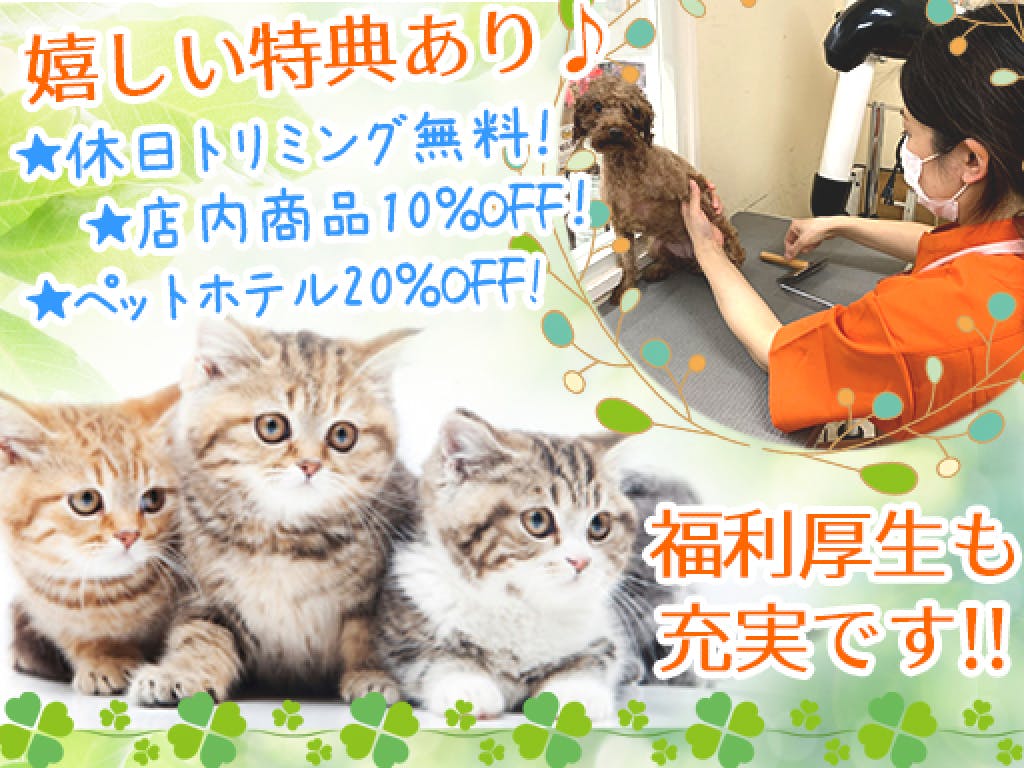 主婦 夫 活躍 ケン ワン 加西店 北条町駅 のパート アルバイト求人情報 しゅふjob No 主婦 夫 活躍 ケン ワン 加西店 北条町駅 のパート アルバイト求人情報 しゅふjob No