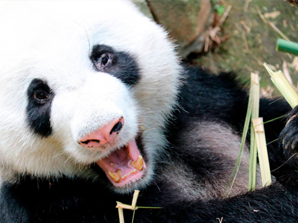 主婦 夫 活躍 株式会社エイブル スタッフ 戸田公園駅 の派遣求人情報 しゅふjob No 主婦 夫 活躍 株式会社エイブル スタッフ 戸田公園駅 の派遣求人情報 しゅふjob No