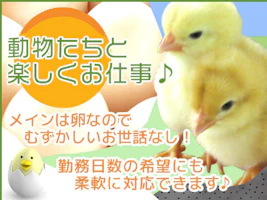 主婦 夫 活躍 コープさっぽろ 江別生鮮加工センター 野幌駅 のパート アルバイト求人情報 しゅふｊｏｂ No