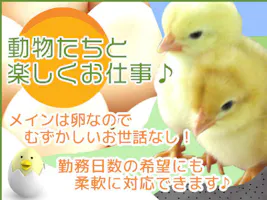 主婦 夫 活躍 コープさっぽろ 江別生鮮加工センター 野幌駅 のパート アルバイト求人情報 しゅふjob No 主婦 夫 活躍 コープさっぽろ 江別生鮮加工センター 野幌駅 のパート アルバイト求人情報 しゅふjob No
