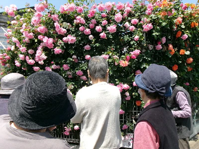 職場の画像