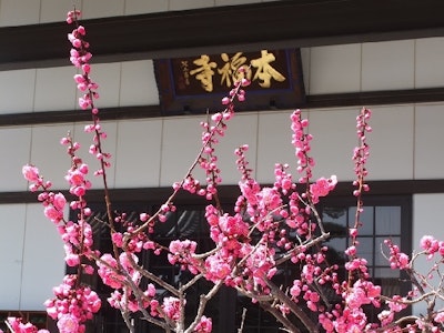 株式会社366の画像・写真