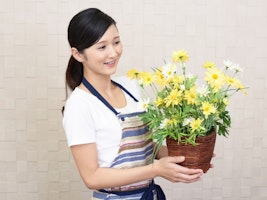 主婦 夫 活躍 フラワーショップいしざか 室蘭中央店 室蘭駅 のパート アルバイト求人情報 しゅふjob No 主婦 夫 活躍 フラワーショップいしざか 室蘭中央店 室蘭駅 のパート アルバイト求人情報 しゅふjob No