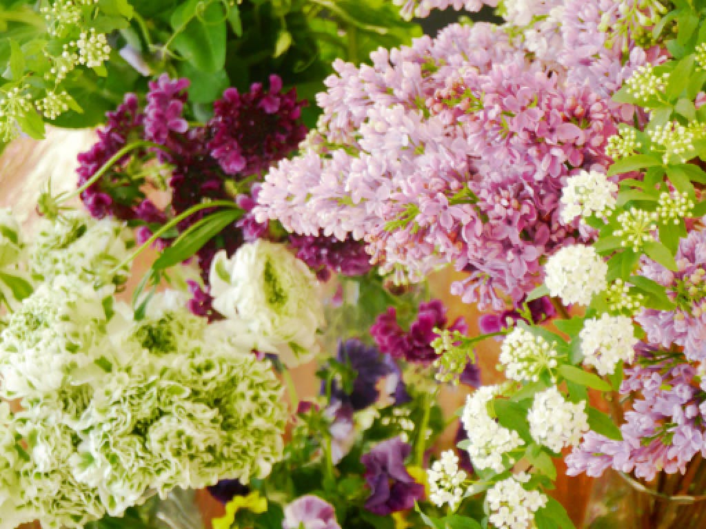 主婦 夫 活躍 フラワーショップいしざか 花川店 手稲駅 のパート アルバイト求人情報 しゅふjob No 主婦 夫 活躍 フラワーショップいしざか 花川店 手稲駅 のパート アルバイト求人情報 しゅふjob No