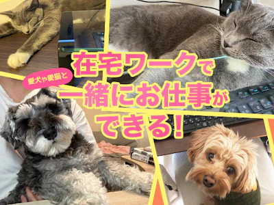 東京都新宿区 コピーライター テクニカルライターのアルバイト バイト求人情報 Dジョブ でバイトやパートのお仕事探し