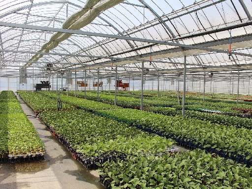 種兵ファームズのアルバイト情報