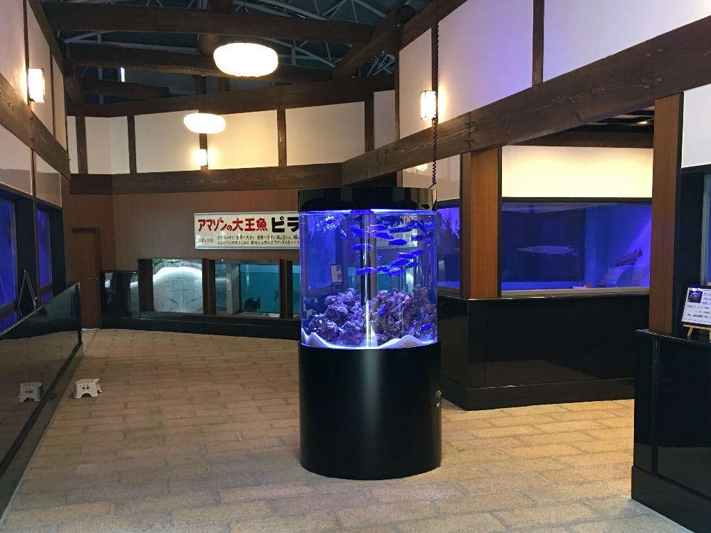 主婦 夫 活躍 合同会社 白池 別府 大分県 駅 のパート アルバイト求人情報 しゅふjob No 主婦 夫 活躍 合同会社 白池 別府 大分県 駅 のパート アルバイト求人情報 しゅふjob No