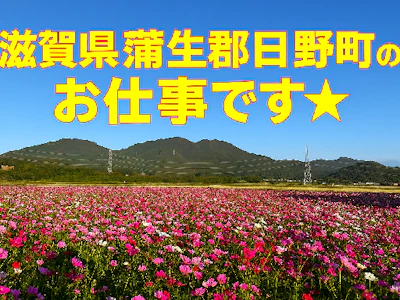 株式会社シスムエンジニアリング