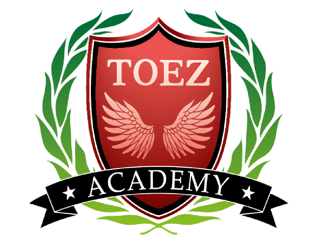 トイズアカデミー 小学6年生 国語・算数