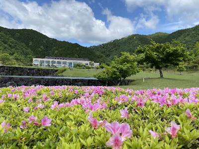 職場の画像