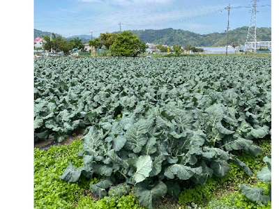 職場の画像