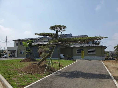 週3日～のデイサービスの介護スタッフ