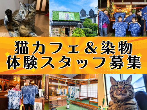 ＼週1日＆4h〜OK／猫カフェの＜接客スタッフ＞パート募集！猫ち...