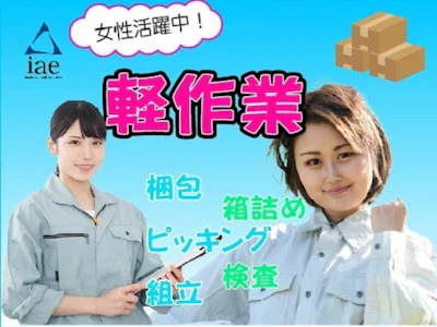 株式会社アイエーイー