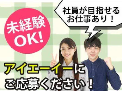 株式会社アイエーイー