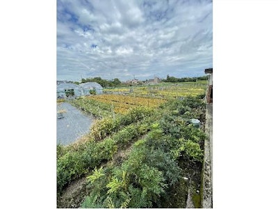 有限会社マルサングリーンファクトリーの画像・写真