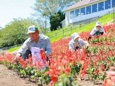 職場の画像