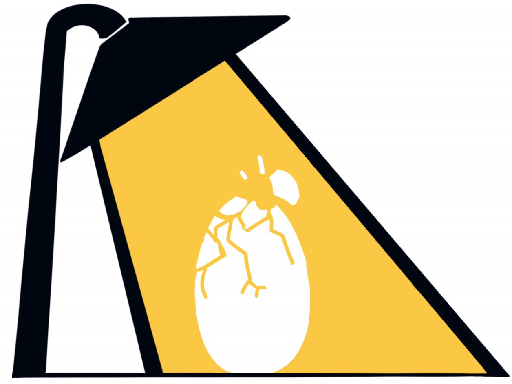 1fb41f2a8cf403926ec7157a5b83859c2a72e6ca