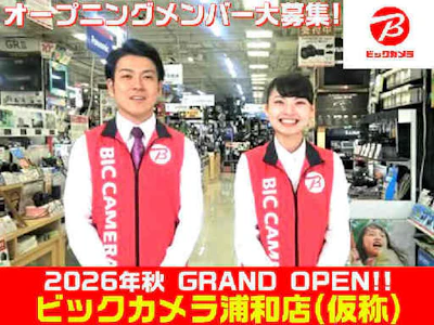 株式会社ビックカメラ