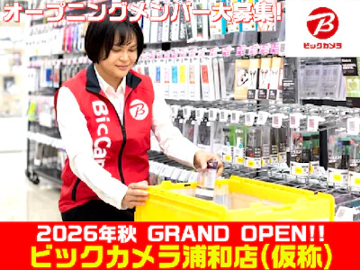 株式会社ビックカメラ