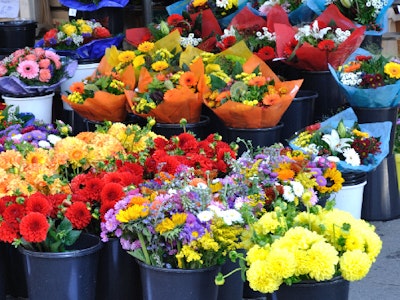 主婦(夫)が活躍中のお花屋さんの本社倉庫内・お花の加工・梱包スタッフ