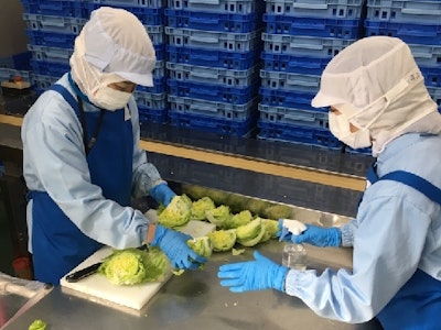 週3日～の食材の出荷・軽作業スタッフ