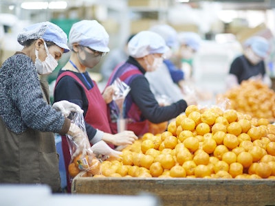 株式会社マルマンの画像・写真