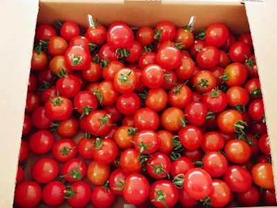 株式会社神戸物産