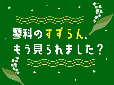 「蓼科のすずらん、6月になると毎年とってもきれいなんですよ！」「...