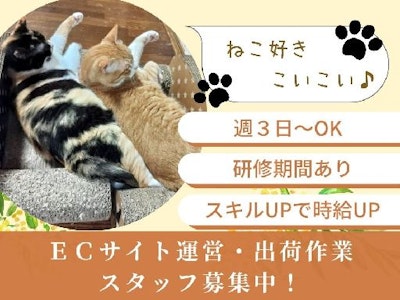 16時まで勤務OKの美容商材や猫雑貨を扱うECサイトでの事務＆軽作業