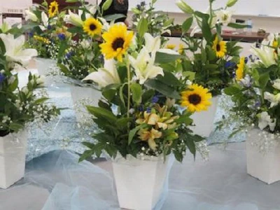文化芸術イベントの事務アシスタント・総合受付業務