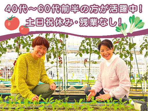 未経験OK！障がいのある方が「自分らしく」「長く安心して」働くた...