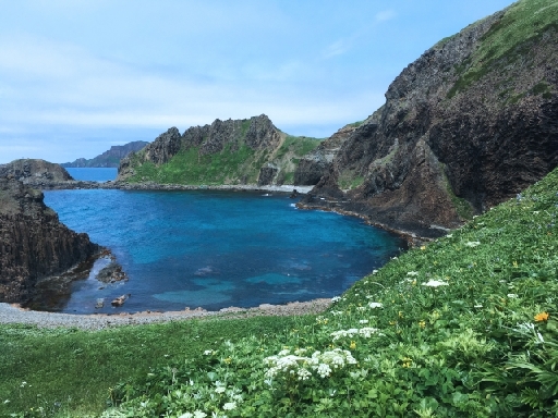 【料理好き歓迎】礼文島で住み込み！工事作業員宿舎でのまかない調理...