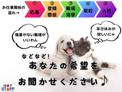 株式会社ホットスタッフ大垣のアルバイト情報