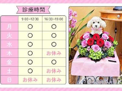 職場の画像